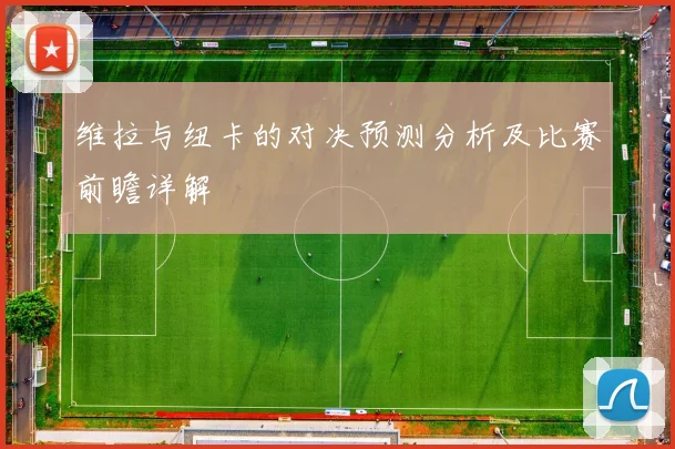维拉与纽卡的对决预测分析及比赛前瞻详解