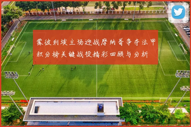 蒙彼利埃主场迎战摩纳哥争夺法甲积分榜关键战役精彩回顾与分析
