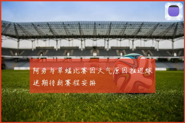 阿劳与草蜢比赛因天气原因推迟球迷期待新赛程安排