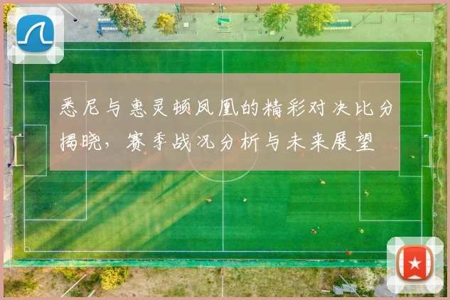悉尼与惠灵顿凤凰的精彩对决比分揭晓，赛季战况分析与未来展望