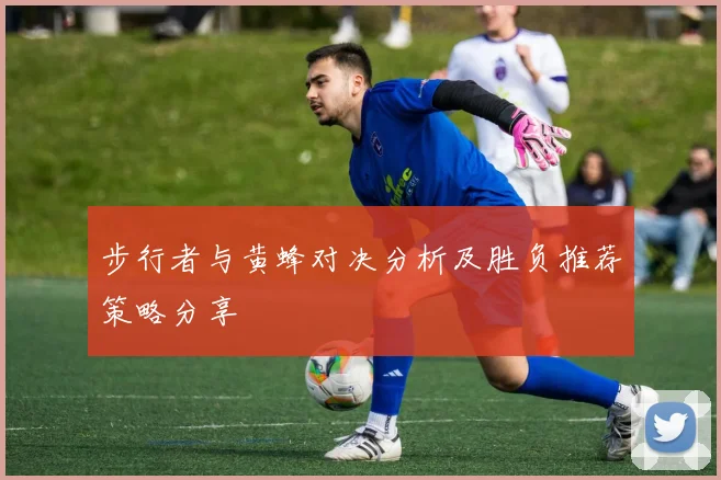 步行者与黄蜂对决分析及胜负推荐策略分享