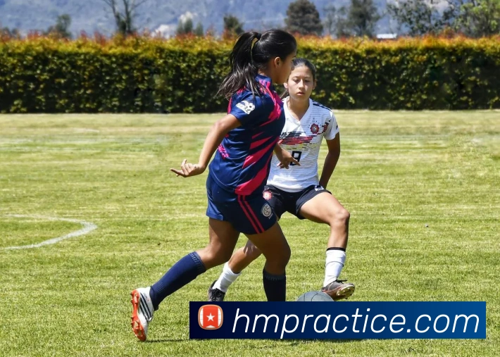 DB电竞APP 封面图